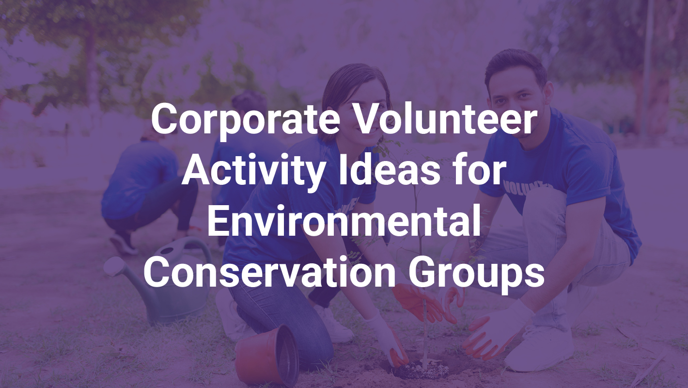 Corporate Volunteer Activity Ideas for Environmental Conservation Groups