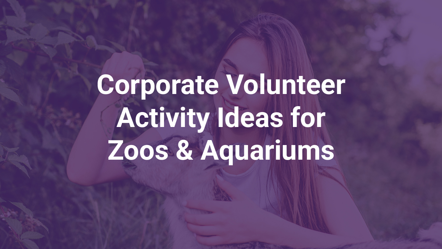 Corporate Volunteer Activity Ideas for Zoos & Aquariums