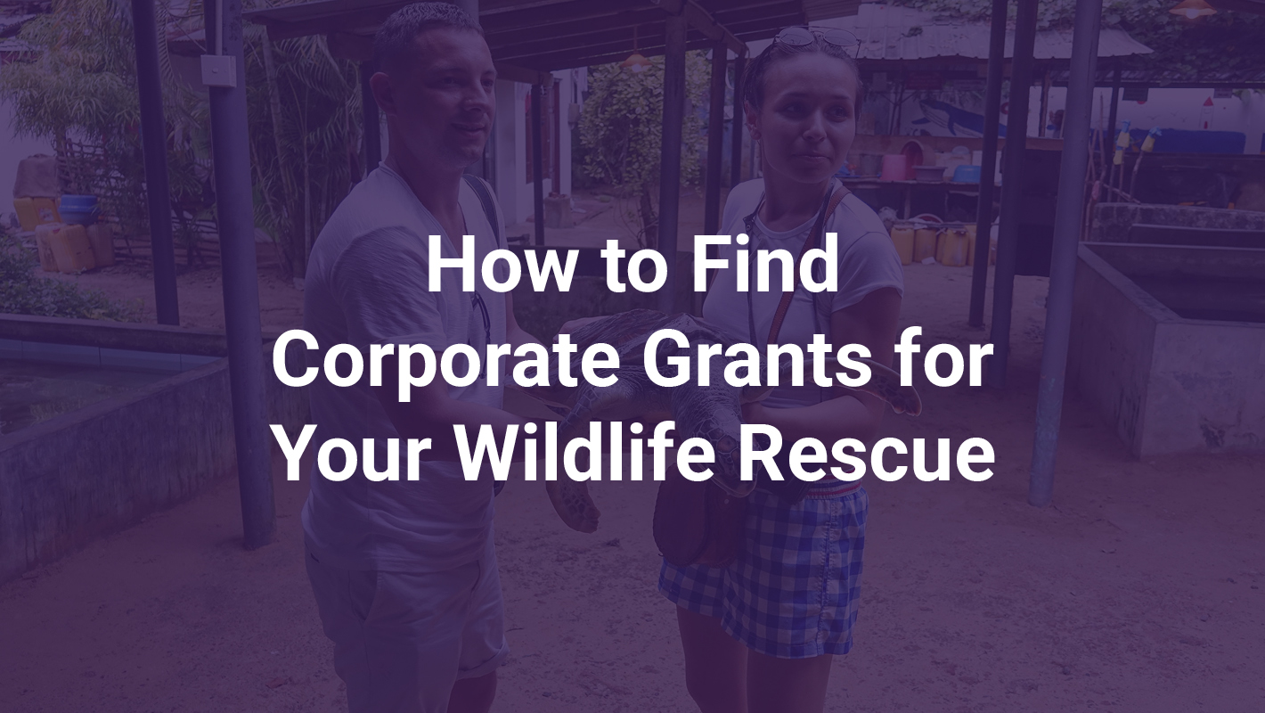 How to Find Corporate Grants for Your Wildlife Rescue