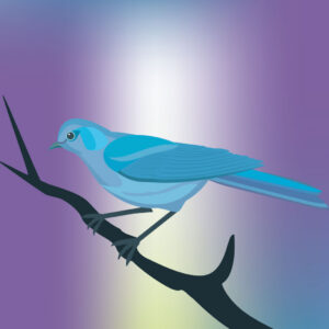 Get your supporters out into nature by organizing a bird-a-thon fundraiser.