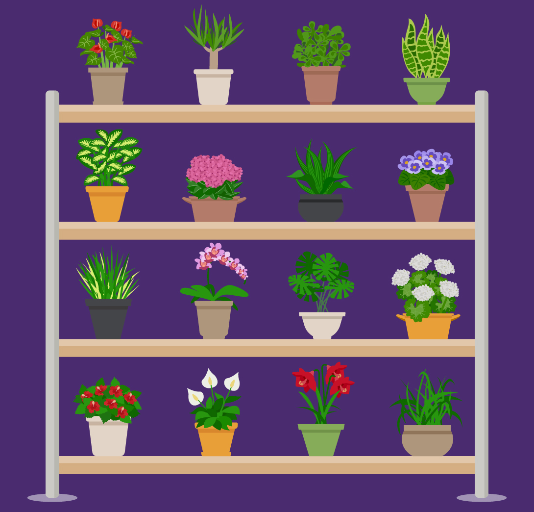Learn how to raise funds by organizing a plant sale fundraiser in this guide.